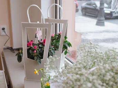 Kwiaciarnia Kwiaty for you